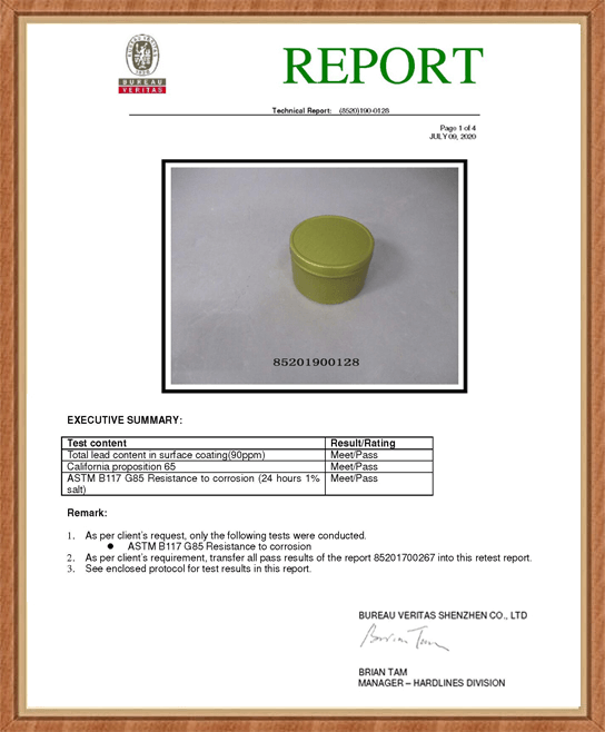 Technical-report