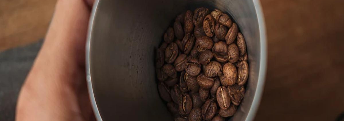 Solving the Problem of Coffee Bean Spoilage 1